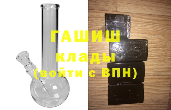 хмурый Аркадак