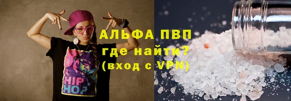 хмурый Аркадак