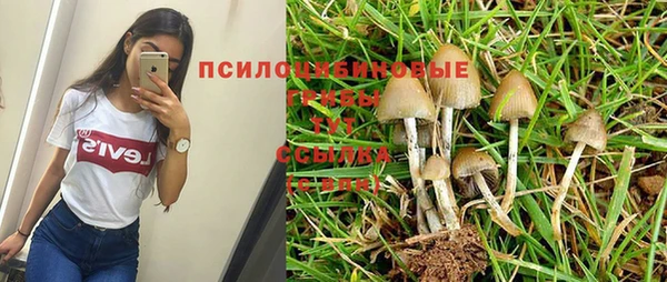MDMA Premium VHQ Армянск