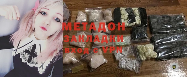 хмурый Аркадак