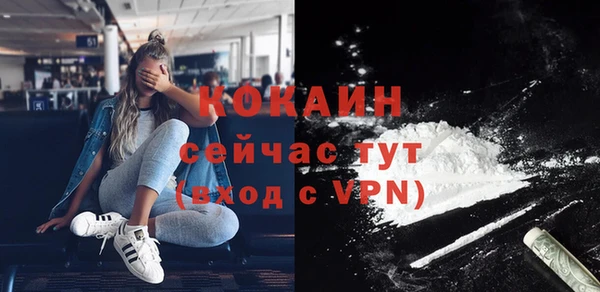 хмурый Аркадак