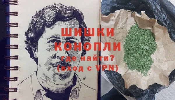 хмурый Аркадак