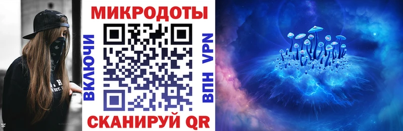 дарнет шоп  ссылка на мегу ССЫЛКА  Галлюциногенные грибы Psilocybine cubensis  Аша 